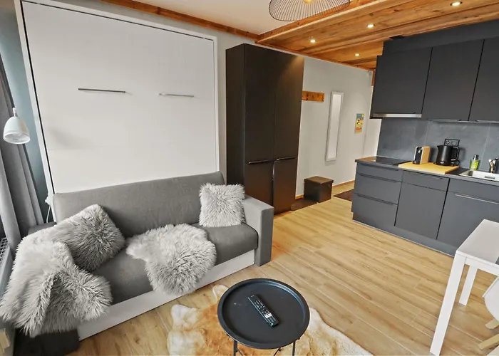 Joli Studio Avec Parking Gratuit