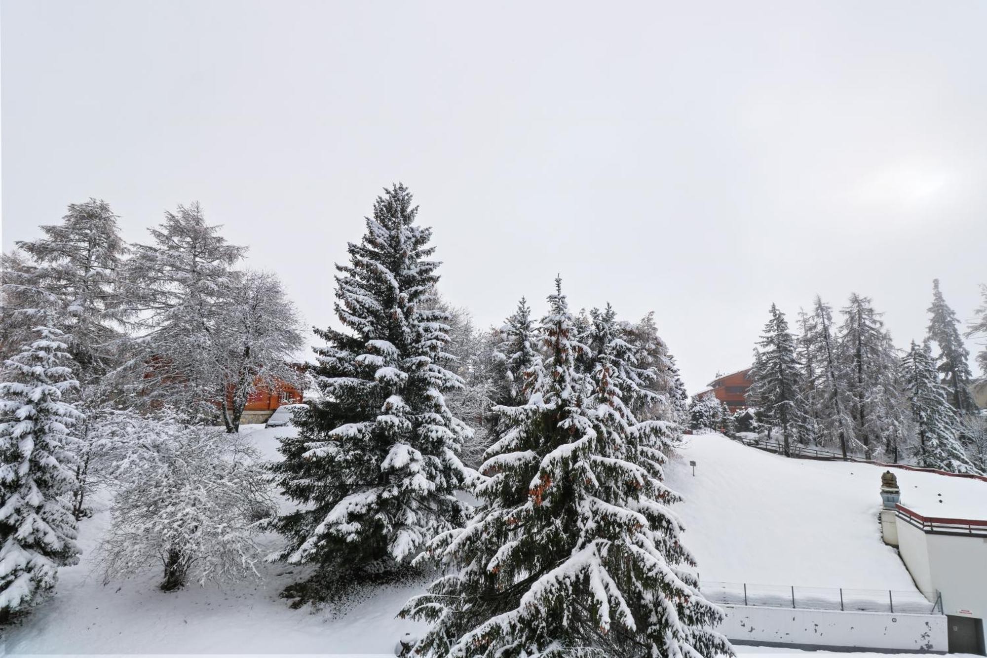 Joli Avec Parking Gratuit * Crans-Montana